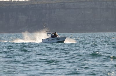 DSC_4183.JPG