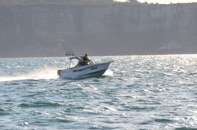 DSC_4185.JPG