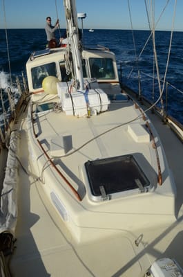 DSC_4191.JPG