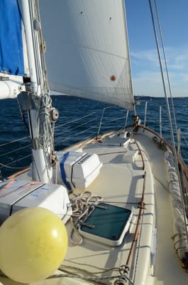DSC_4192.JPG