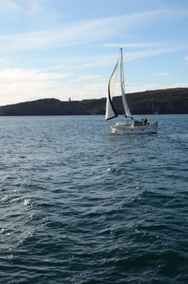 DSC_4194.JPG