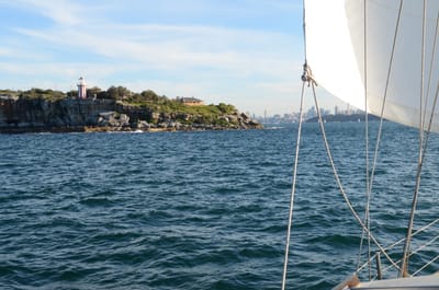 DSC_4195.JPG