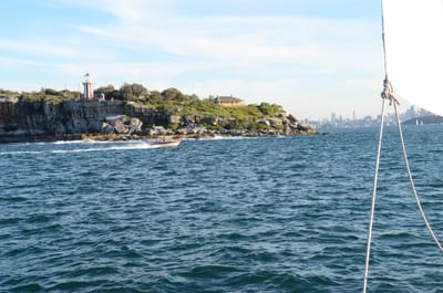 DSC_4196.JPG