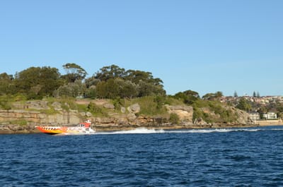 DSC_4200.JPG
