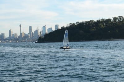 DSC_4217.JPG