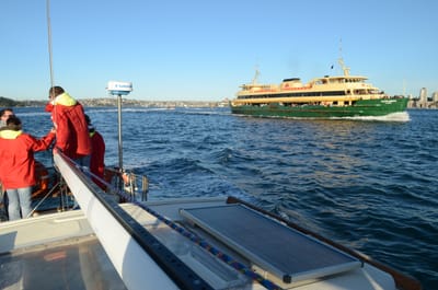 DSC_4224.JPG