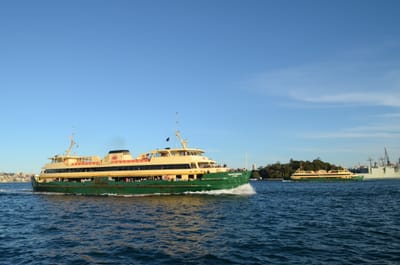 DSC_4225.JPG