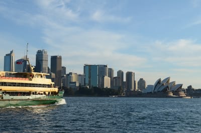 DSC_4228.JPG