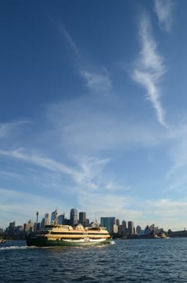 DSC_4229.JPG