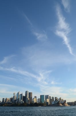 DSC_4231.JPG