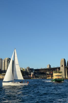 DSC_4246.JPG