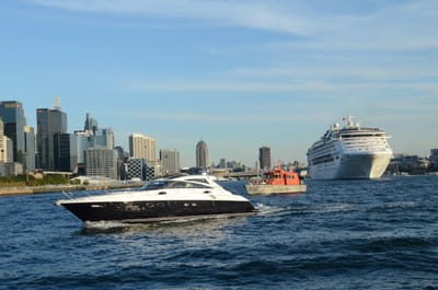 DSC_4247.JPG
