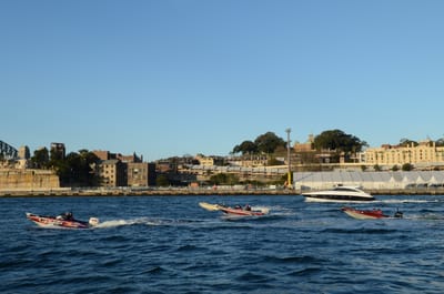 DSC_4251.JPG