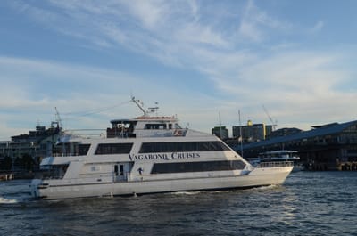 DSC_4253.JPG