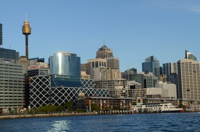 DSC_4254.JPG