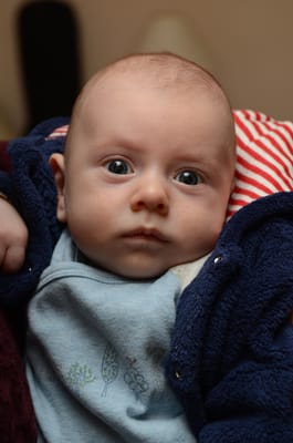 DSC_3500.JPG