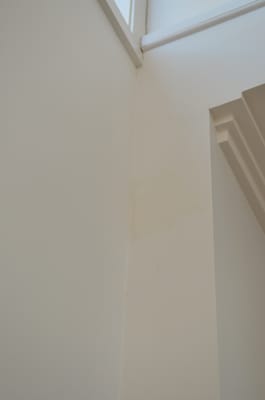 DSC_0661.JPG