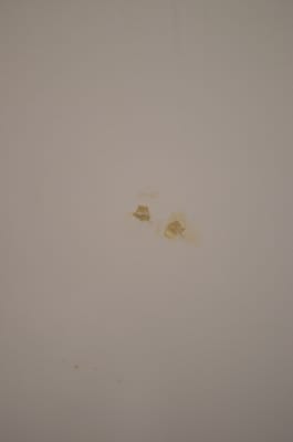 DSC_0665.JPG