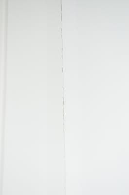 DSC_0676.JPG