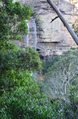 DSC_8893.JPG