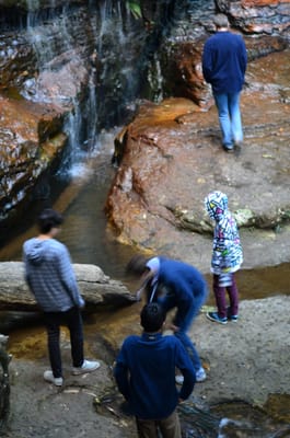 DSC_8905.JPG