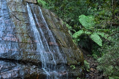 DSC_8911.JPG