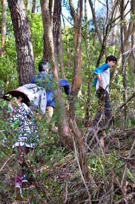 DSC_9012.JPG