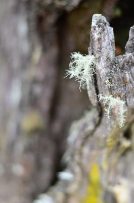 DSC_9013.JPG