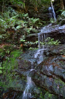 DSC_9025.JPG