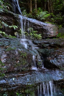 DSC_9027.JPG