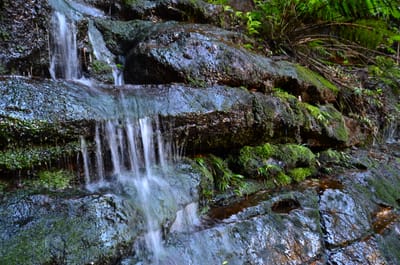 DSC_9028.JPG