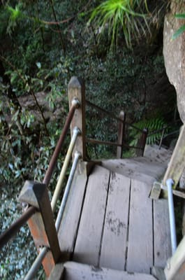 DSC_9030.JPG