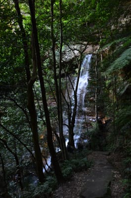 DSC_9031.JPG