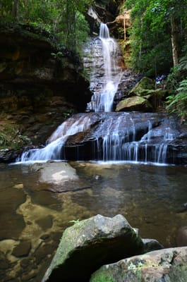 DSC_9044.JPG