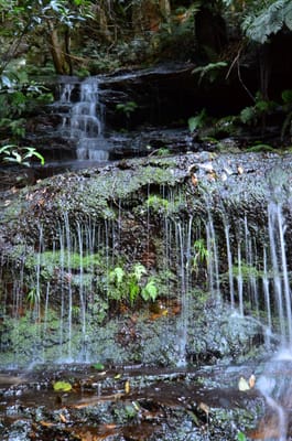 DSC_9054.JPG
