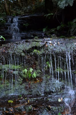 DSC_9056.JPG