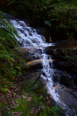 DSC_9058.JPG