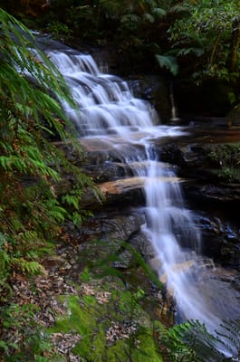 DSC_9059.JPG
