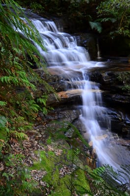 DSC_9060.JPG
