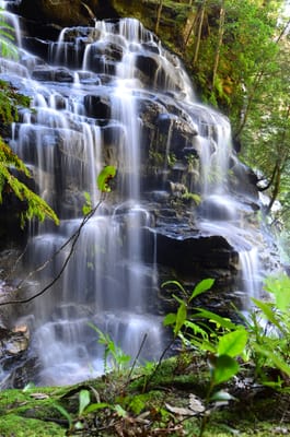 DSC_9066.JPG