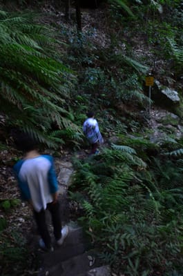 DSC_9071.JPG