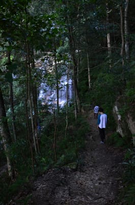 DSC_9072.JPG