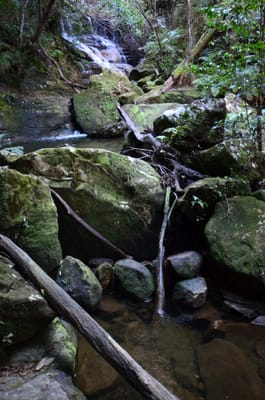 DSC_9076.JPG