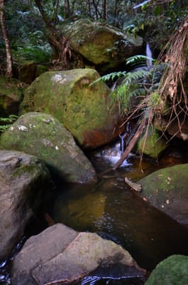 DSC_9078.JPG