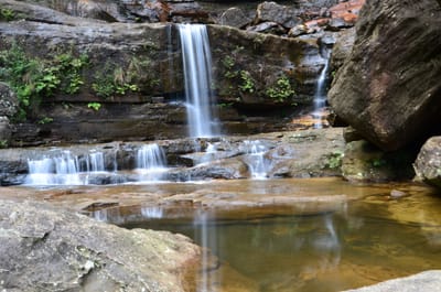 DSC_9098.JPG