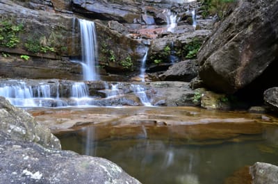 DSC_9104.JPG