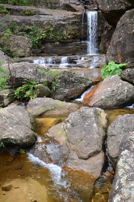 DSC_9110.JPG
