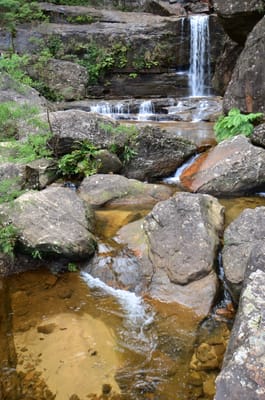 DSC_9111.JPG
