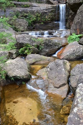 DSC_9112.JPG