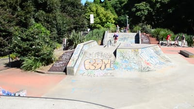 DSC_3101.MOV